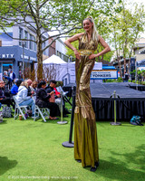 WCC 2026 Spring Fashion Show