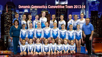 Dynamic Gymnastics Team 2013-14